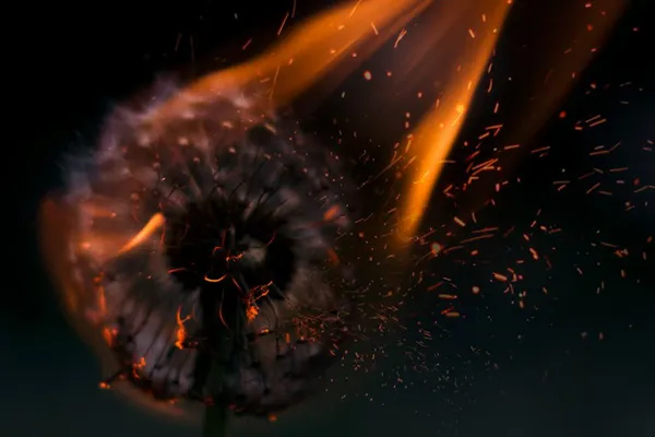 炙り丸太製作のプロセス